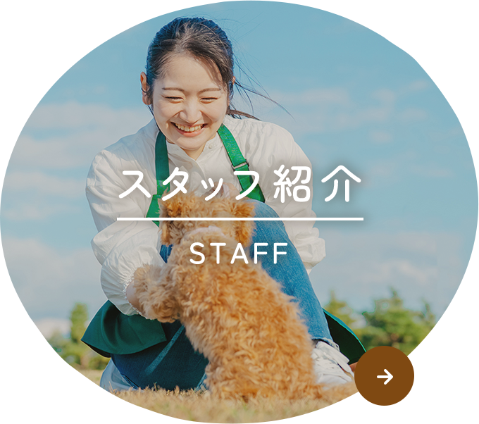 スタッフ紹介