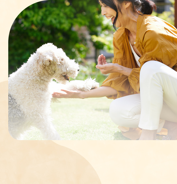 Dog School Yoku Mana